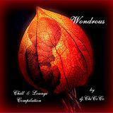 "" WONDROUS "" chill & lounge compilation