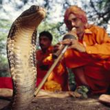 the snake charmer 1