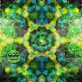 Intergalactic Summer