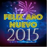 fiesta mix 2015