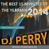 Party cut in 15 Minutes of Yearmix 2014