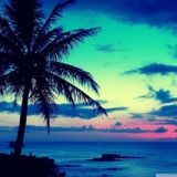 July 2013 Tropical Boogie