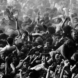 NoiseAddict - Violencia Acústica