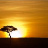 Spring in Africa