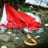 Broken Umbrella 4