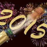 Best Of 2015 ( mixed by DJ D21 )