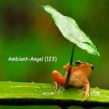Ambient-Angel (123)