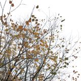Autumn mix 2014
