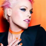 Pink Tribute (DJ Bri Guy MegaMix)