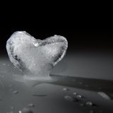 Gemischte Gefühle 1 "...richtige Lieder, falsche Liebe"