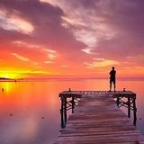 Staring At The Sun
