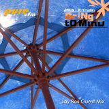 Bring To Mind 051, Pure.FM (Jay Ros Guest Mix) (2010, June)