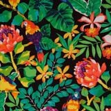 Tropical Rainforest Mix