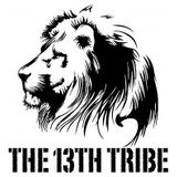 Roots + Culture 1