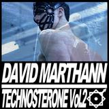 TECHNOSTERONE VOL.2
