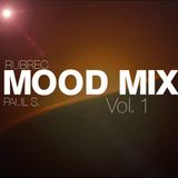 Paul S. - The Mood Mix. Vol. 1