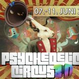 Algiz - Psychedelic Circus 2014