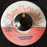 Dub Chronicles #62 (Kane FM)