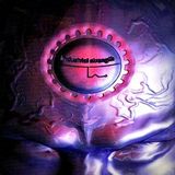 Liza 'N' Eliaz - Romper Stomper Mix (Earache - 1995)