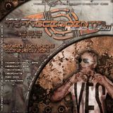 David Saints pres. Transcendental Radio Show #262 (02/11/2012)