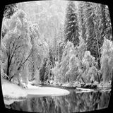 Winter Dream 2010