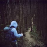Universcience - Visiting Forest Man 2015 Live