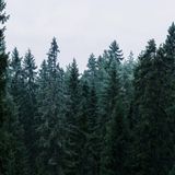 Monday Morning Mixtape 112
