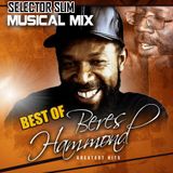 The Best of Beres Hammond