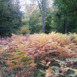 Fall 2015 Mix