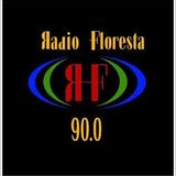 La enfermedad 11 marzo 2015