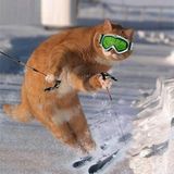 Le TOP #6: Le top 5 des bonnes raisons pour ne pas aller au ski