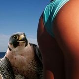 Eagle's Lucky Night Mix