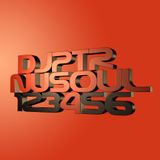 DJPTR - NuSoul 04 (2008)