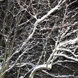 Babak Shayan's purple winter mix (part1)