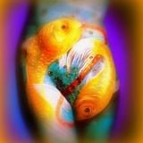 Pair o fin