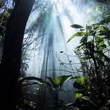 Cosmic Lounge Vol 5 - Drum 'n'Bass years '93-'96 and beyond