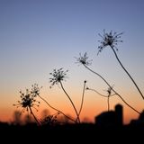 Daylight Fades Mix