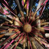 Schmeckefuchs @ GeoParadise Tribal Gathering *Panama 2015
