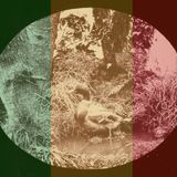 Mantra - Rubber Dub Vol.3