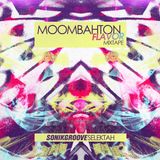 Moombahton Flavor Mixtape