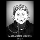 Mad about Sebeing (2013.12.07)