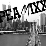 PEAMIXX 08 (Uptempo Hardcore Hip Hop & Underground Rap, August 2015 )