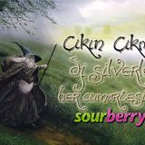 Çıkın Çıkmazı 08.02.2014 Galadriel Özel Yayını