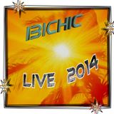IBICHIC LIVE !! 2014