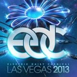 Luminox - Electric Daisy Carnival EDC Las Vegas, United States 2013-06-21