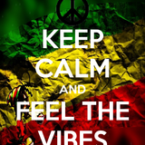 C Stylez - Feel The Vibes (Can't Blame Me) Mix (Reggae) (2011)
