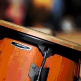 Botanika FM, 21.6.2012