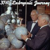 37# Embryonic Journey