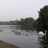 Autumnal Ephemera vol 2