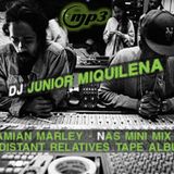 Dj Junior Miquilena - Damian Marley & Nas Mini Mix 2011 (Distant Relatives Tape)